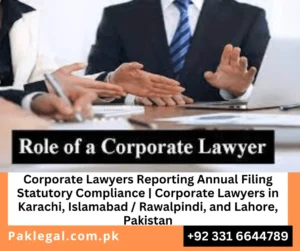 Corporate Lawyers Reporting Annual Filing Statutory Compliance